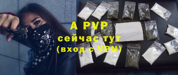 таблы Новодвинск