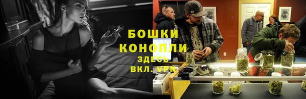 2c-b Новозыбков