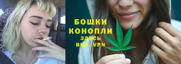 2c-b Новозыбков