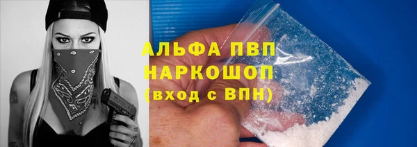 эйфоретик Новокубанск