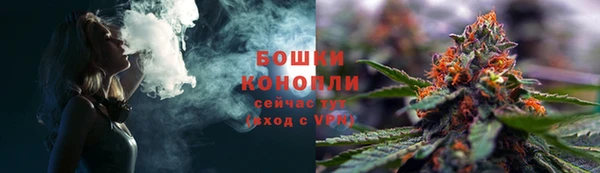 2c-b Новозыбков