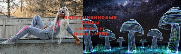 эйфоретик Новокубанск