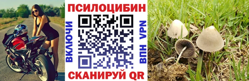 Псилоцибиновые грибы мицелий  Инза 